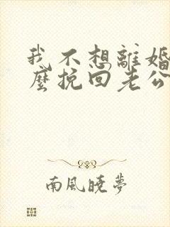 我不想离婚该怎么挽回老公