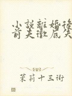 小说离婚后豪门前夫彻底失了控好看么