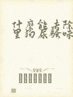 什么能去除房间里狗尿骚味