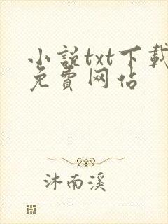 小说txt下载免费网站