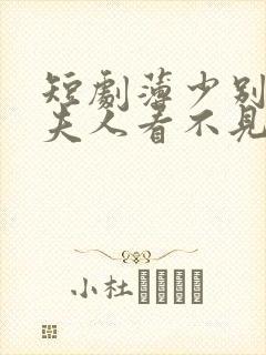 短剧薄少别演了夫人看不见在线阅读