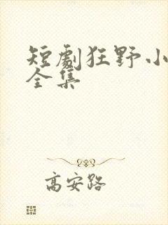 短剧狂野小神医全集