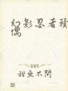 幻影忍者积木人偶