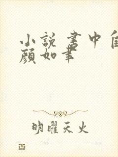 小说 书中自有颜如聿