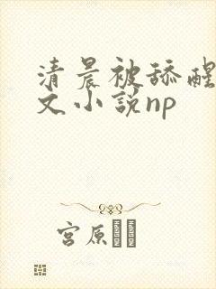 清晨被舔醒的古文小说np