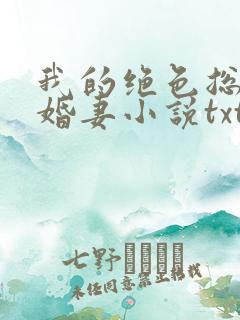 我的绝色总裁未婚妻小说txt