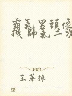 霸气男头像 超拽 帅气二次元