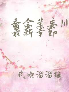 乔念叶妄川小说最新章节