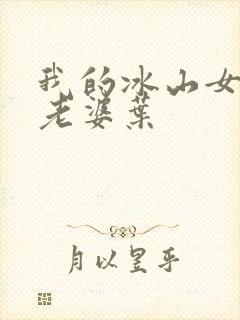 我的冰山女总裁老婆叶