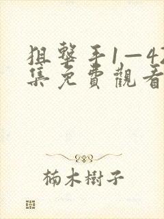 狙击手1—42集免费观看