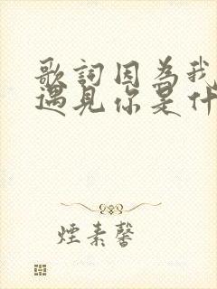 歌词因为我刚好遇见你是什么歌