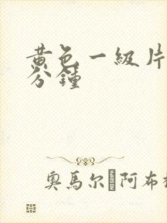 黄色一级片30分钟