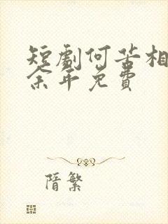 短剧何苦相思煮余年免费