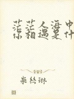 茫茫人海中能和你相遇是什么歌