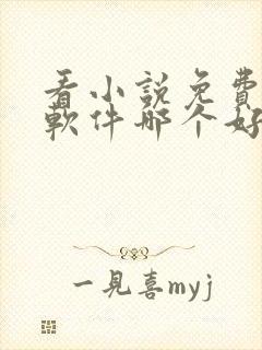 看小说免费听书软件哪个好