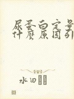 尿蛋白定量高是什么原因引起的