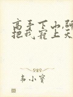 高手下山,师姐把我宠上天胡十三