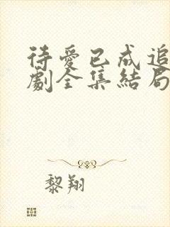 待爱已成追忆短剧全集结局