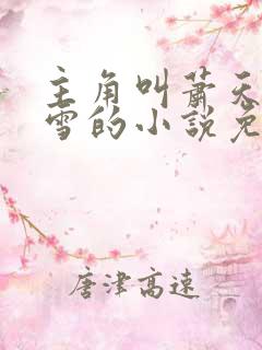 主角叫萧天陈若雪的小说免费阅读