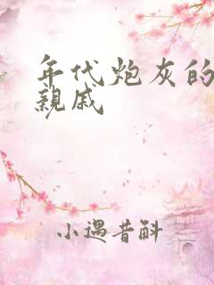 年代炮灰的海外亲戚