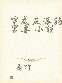 穿成反派的替身男妻 小说