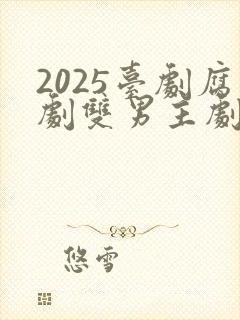 2025台剧腐剧双男主剧