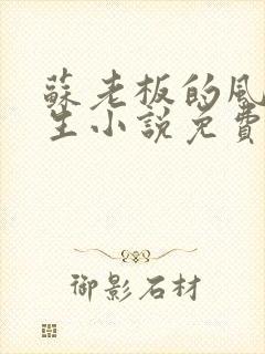 苏老板的风流人生小说免费阅读