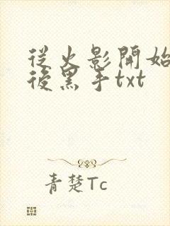 从火影开始做幕后黑手txt