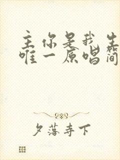 主你是我生命的唯一原唱简谱