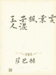 王子枫袁雯洁美人泪