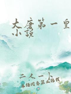 大唐第一皇太子小说