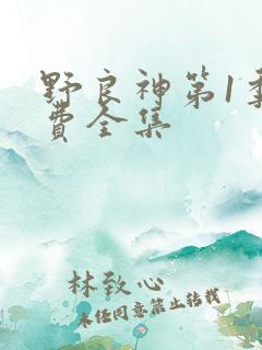 野良神第1季免费全集