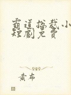 霸道总裁小娇妻短剧免费