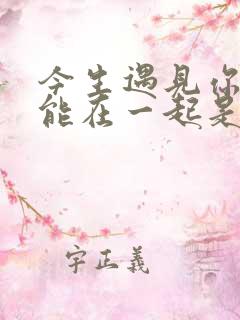 今生遇见你却不能在一起是什么歌