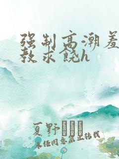 强制高潮羞辱调教求饶h