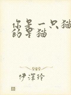 你是一只猫快乐的星猫