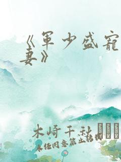 《军少盛宠神医妻》