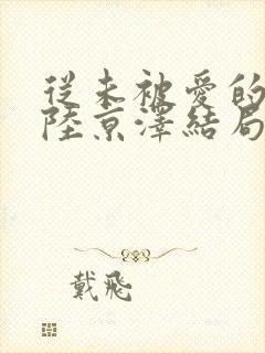 从未被爱的沈念陆京泽结局