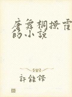 唐舞桐撩霍雨浩的小说