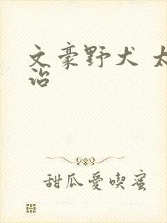 文豪野犬 太宰治