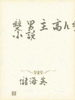 双男主高h双性小说