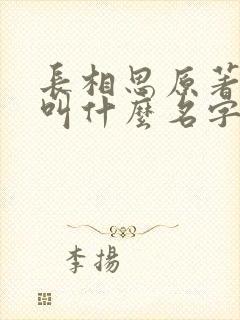 长相思原著小说叫什么名字