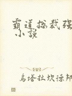 霸道总裁强制爱 小说