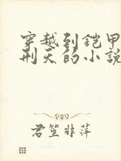 穿越到铠甲勇士刑天的小说