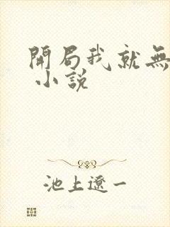 开局我就无敌了 小说