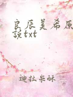 良辰美希原著小说txt
