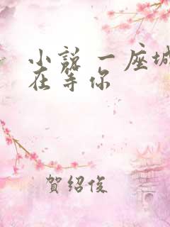 小说 一座城,在等你