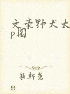 文豪野犬太中cp图