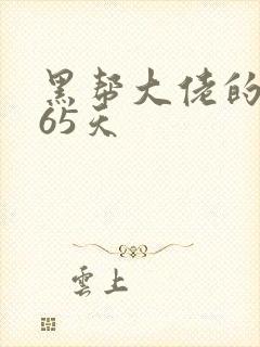 黑帮大佬的第365天