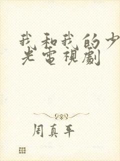 我和我的少年时光电视剧